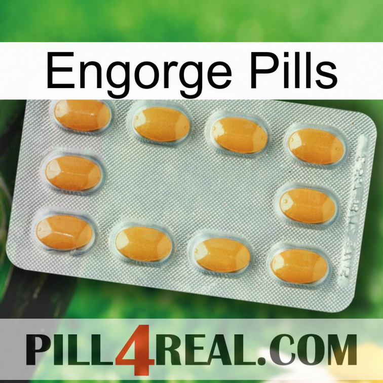 Engorge Pills cialis3